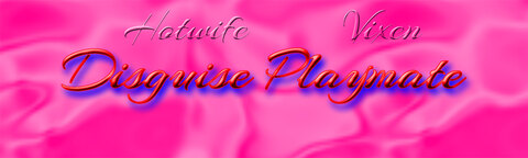 Disguise Playmate cover image