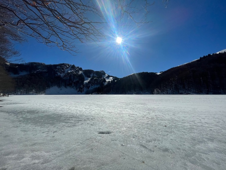 Jacopo Bertoli banner image
