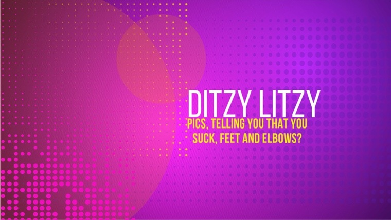 Ditzy Litzy cover image