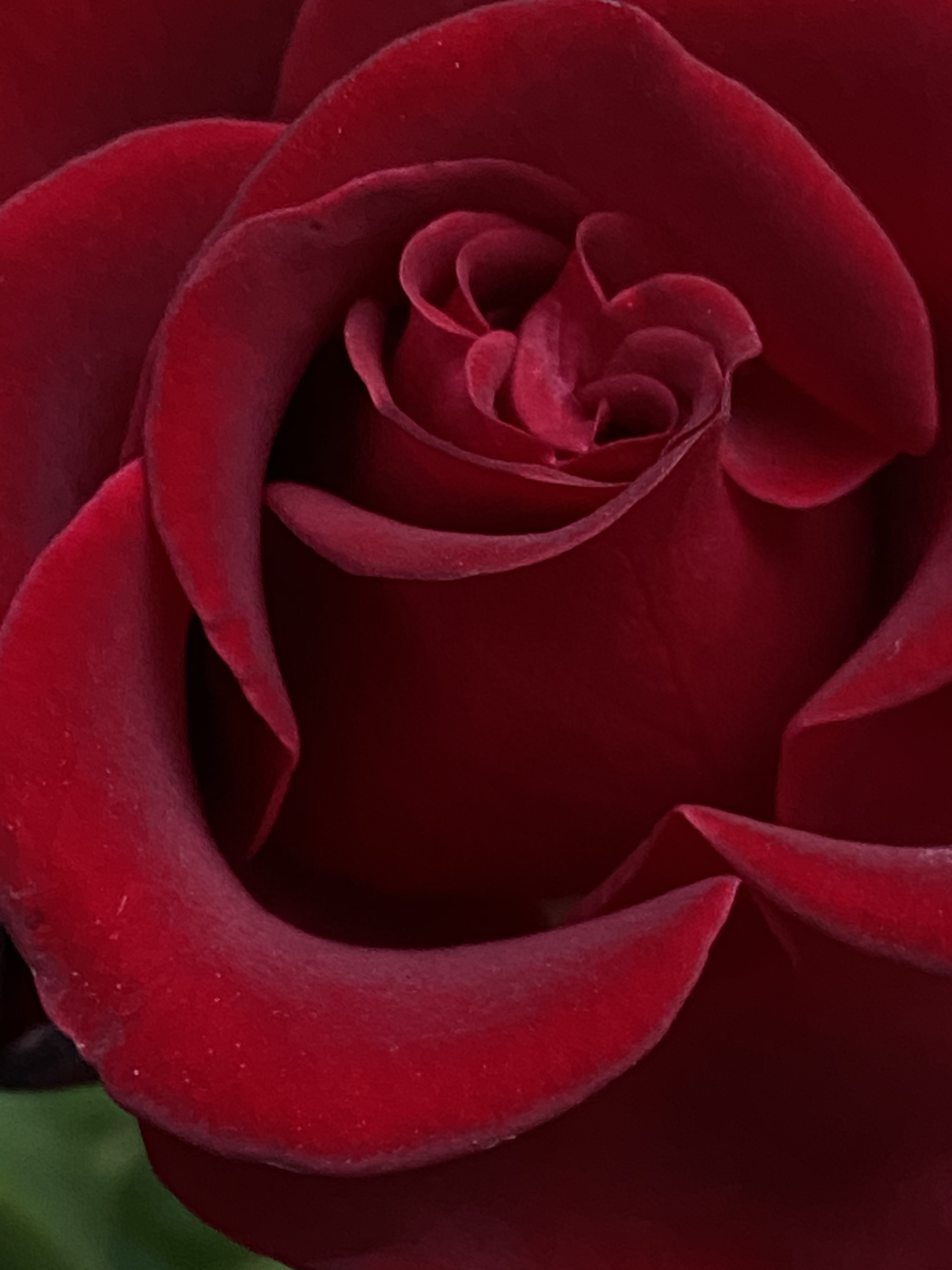 Diva.Butterfly banner image