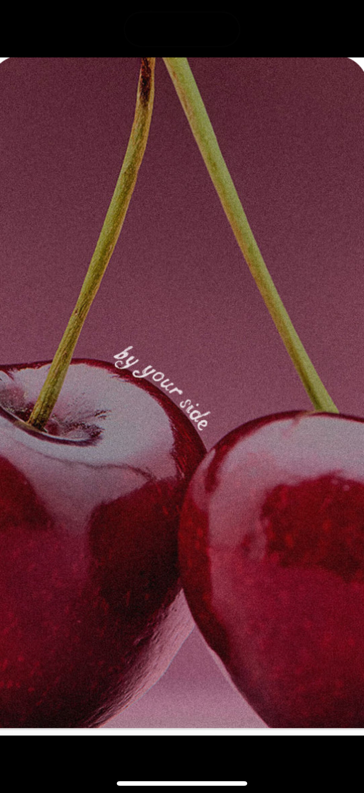 Diva banner image