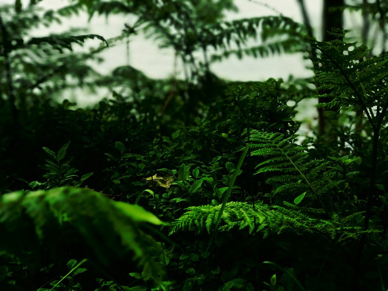 Dj banner image