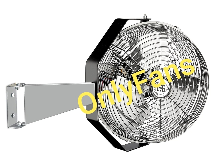 DJ Wild Bill cover image
