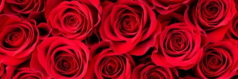 DJ cover image