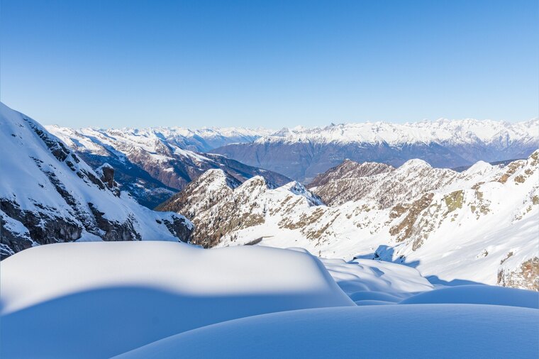Dima banner image