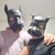 Daniel&Justin avatar