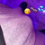 Yafav._DMoney avatar