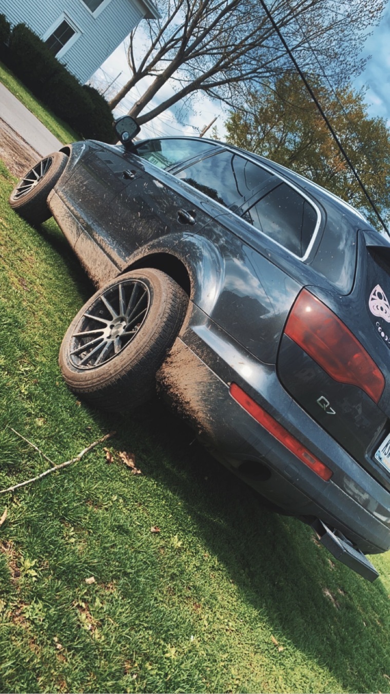 dnasty_69 banner image