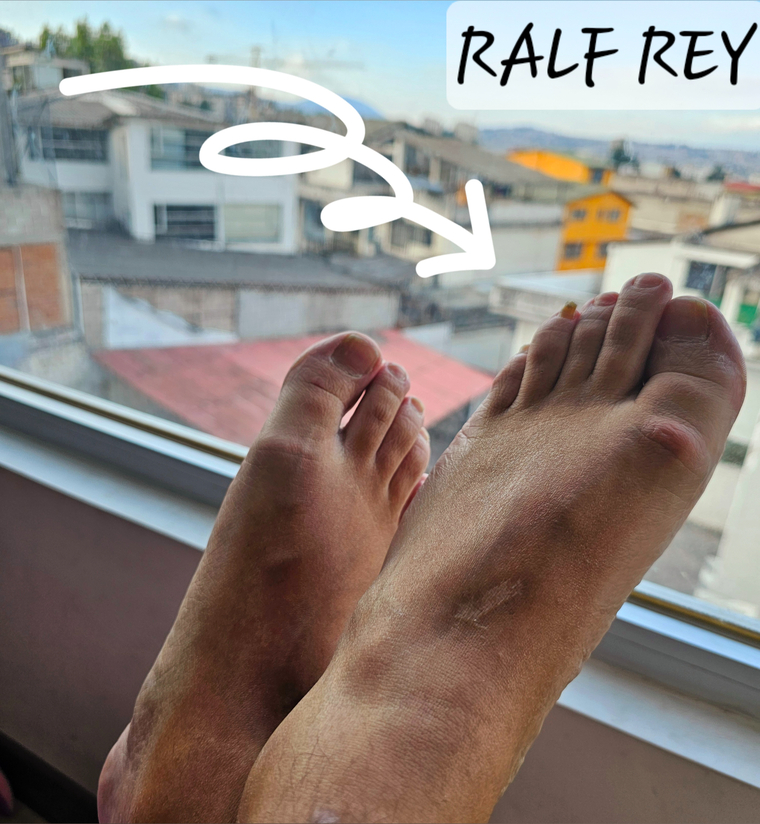 Ralf Rey banner image