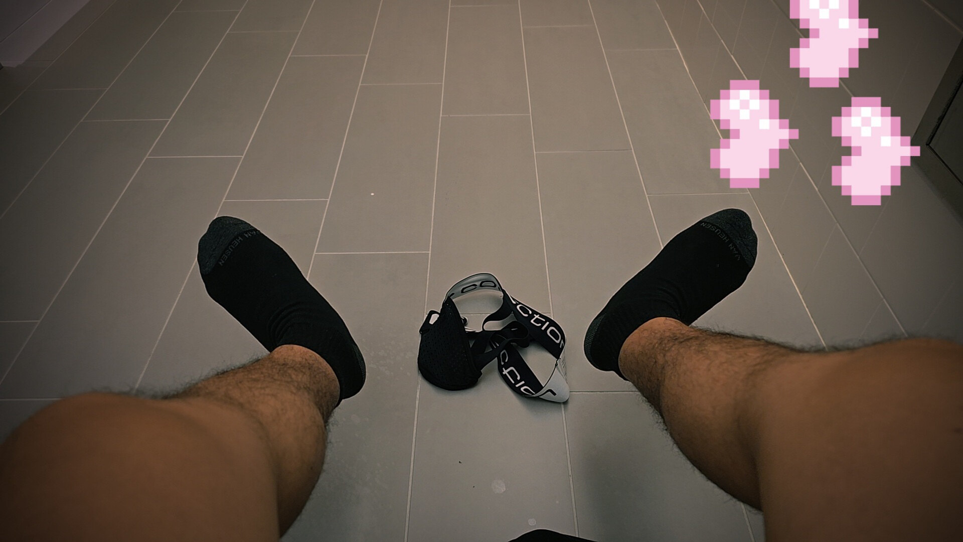 dofi banner image
