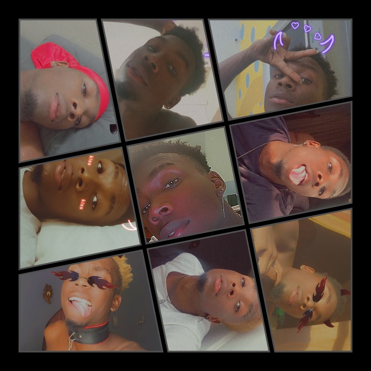 CraftyDogQ cover image
