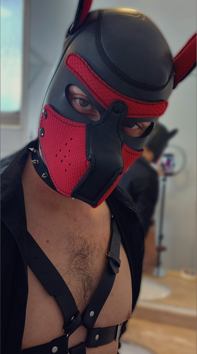 Doggydoggy cover image