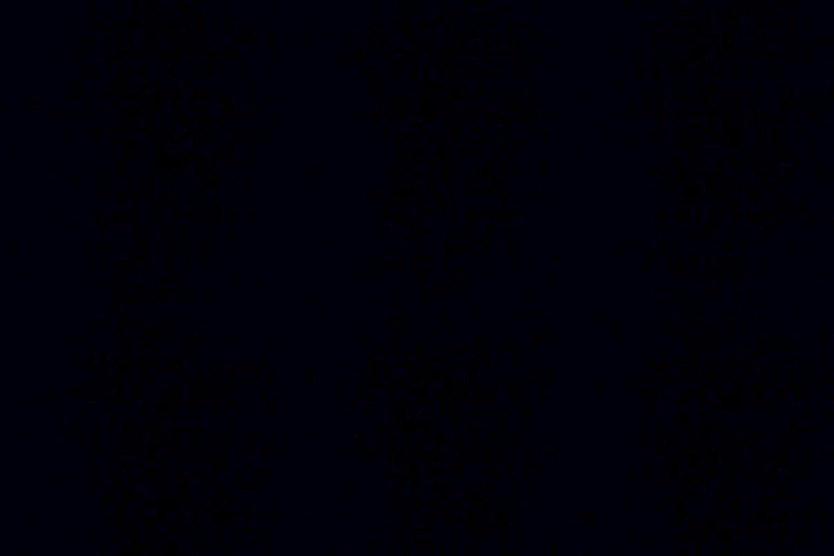 Dogwild cover image