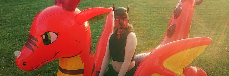 Dokey 🦊 🔞 🔜 Animalz, Folsom cover image