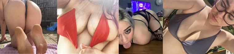 Dolly Pie banner image