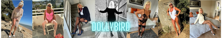 Dolly Bird cover image