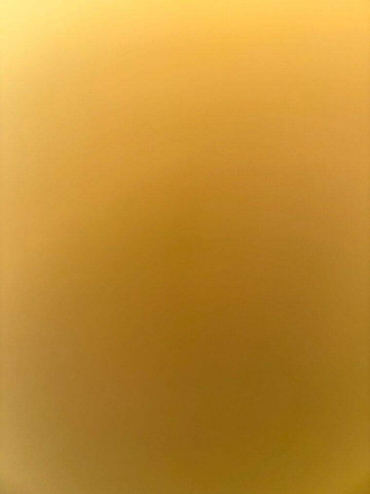 Dollymolly cover image