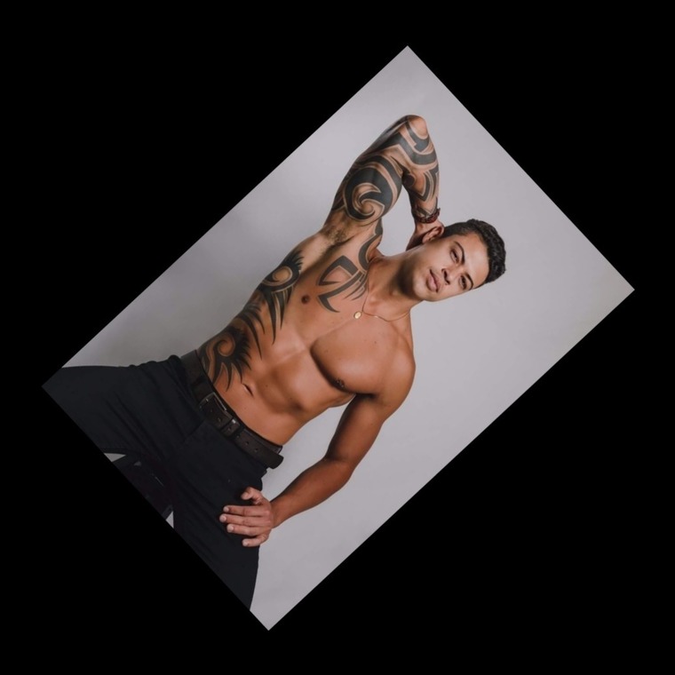 Dominic cover image