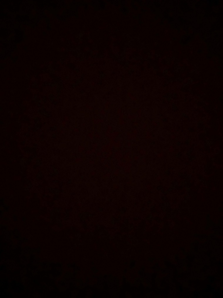 Sarah ๐๐ชฝ banner image