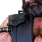 Dombear avatar