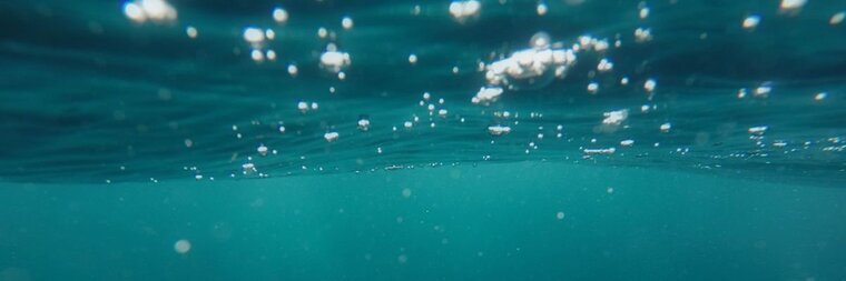 Dominik banner image