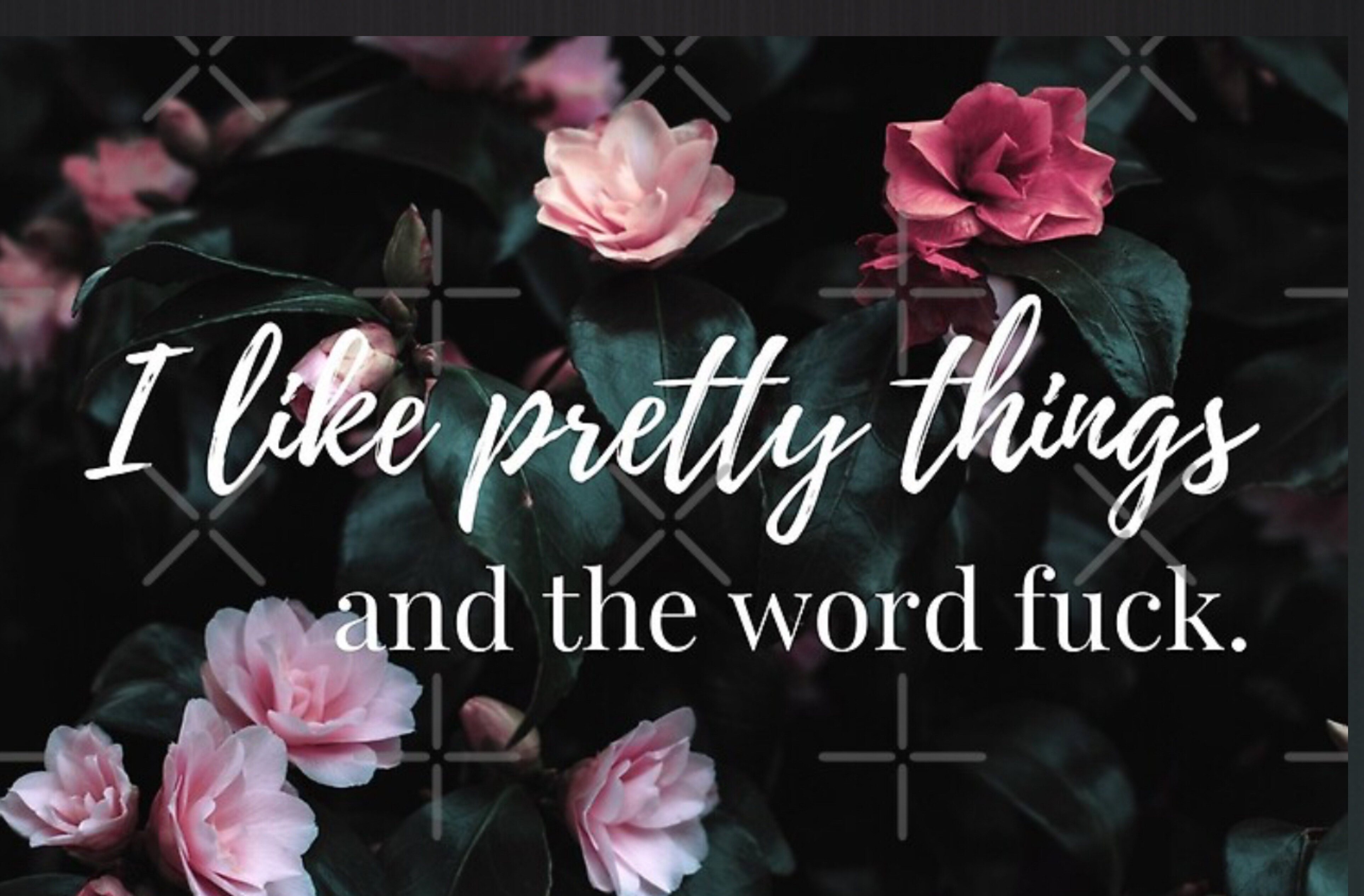 Domi Mommy banner image