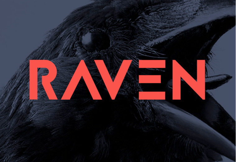 Domina Raven cover image