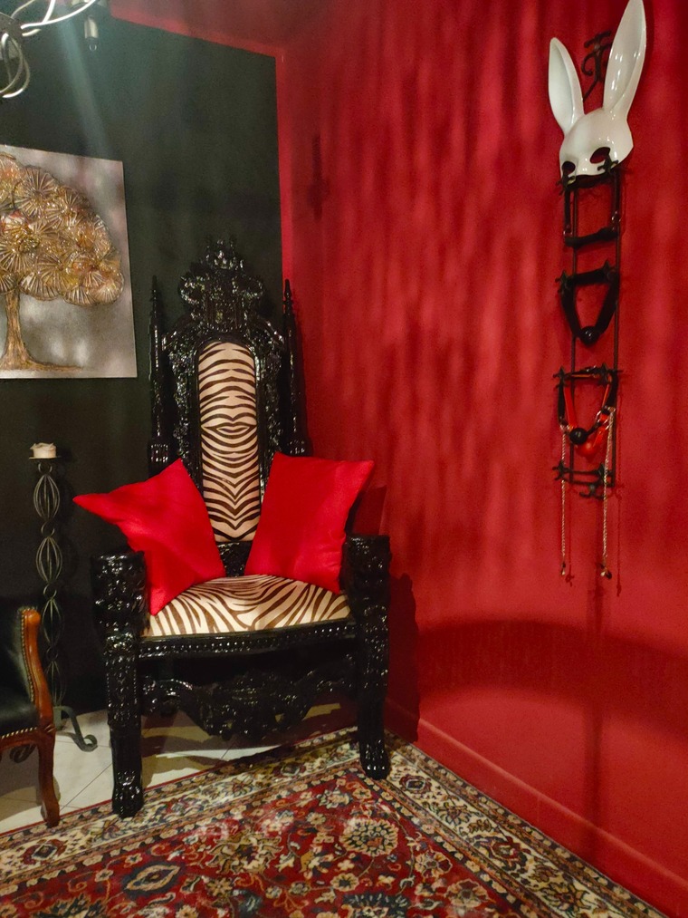 Domina Regina cover image