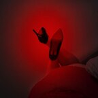 DominaHeels avatar