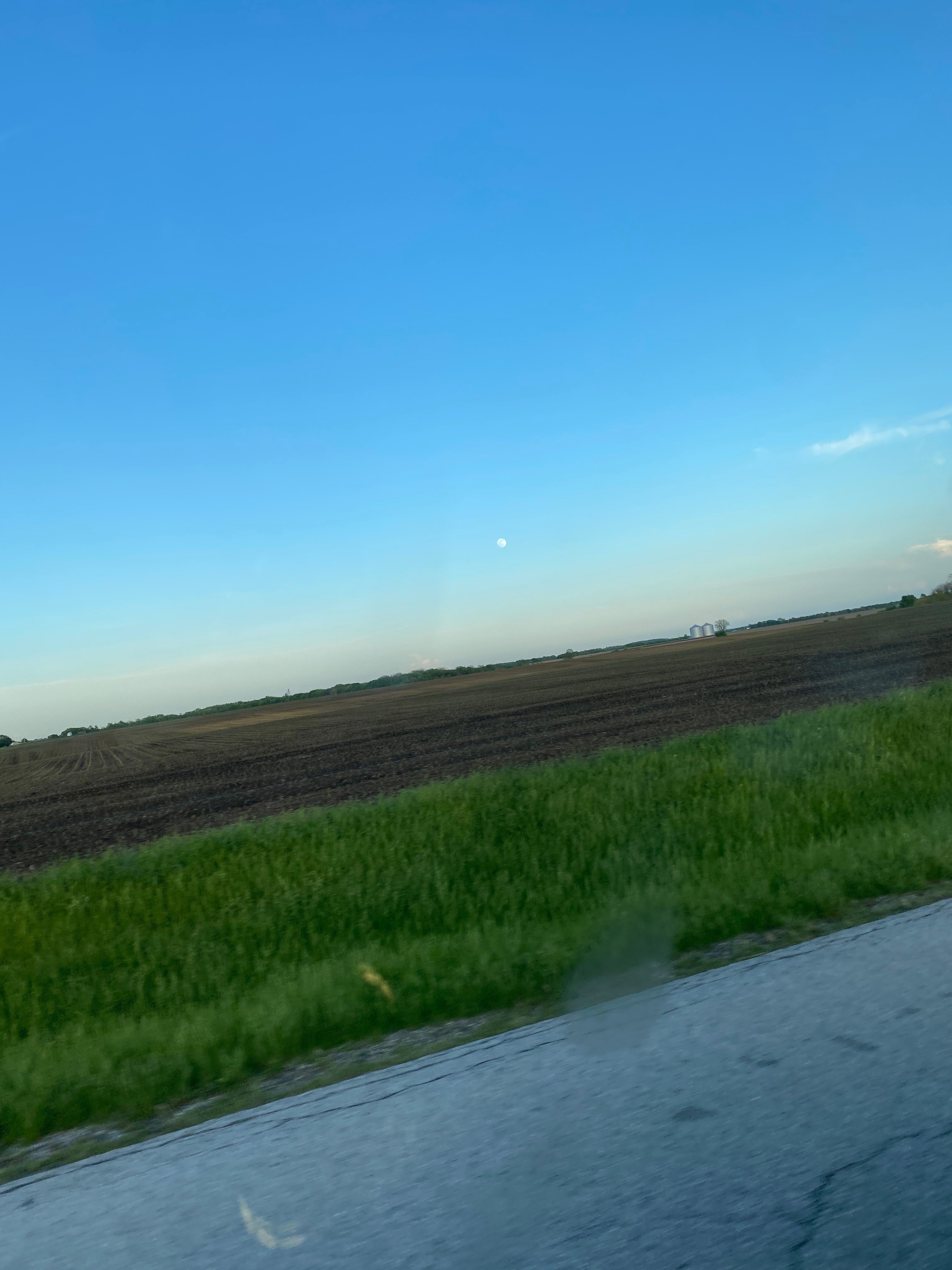 D Sims banner image