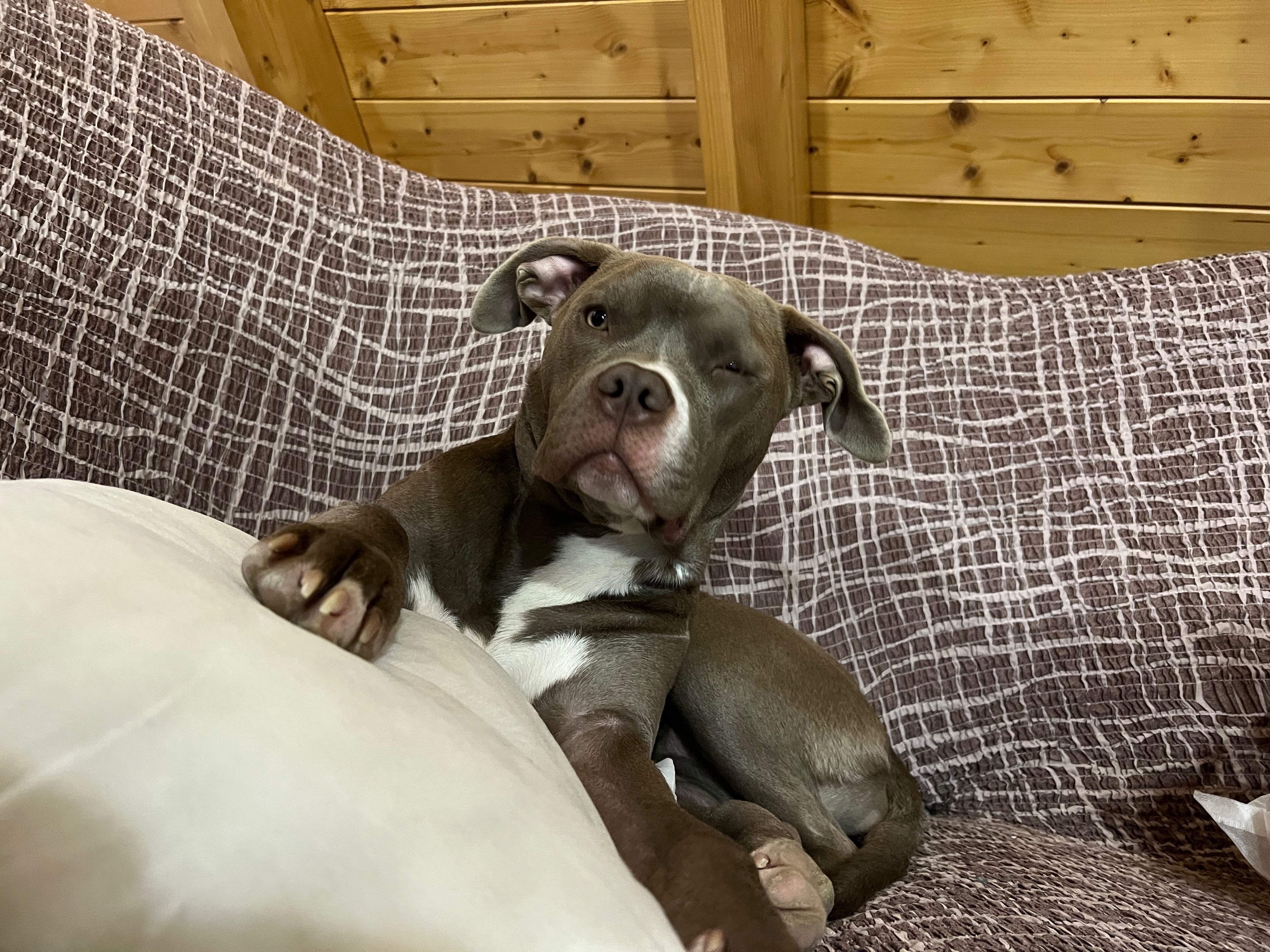 NickB banner image
