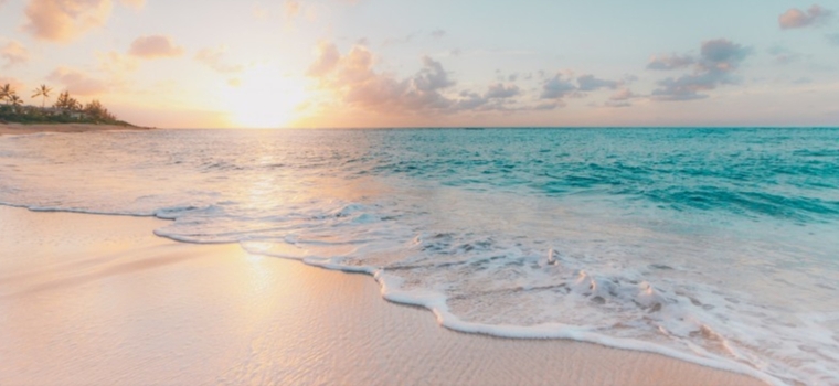 Dominique cover image