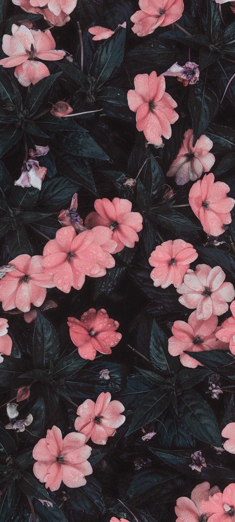 Dominique Lux cover image