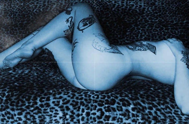 Domino banner image