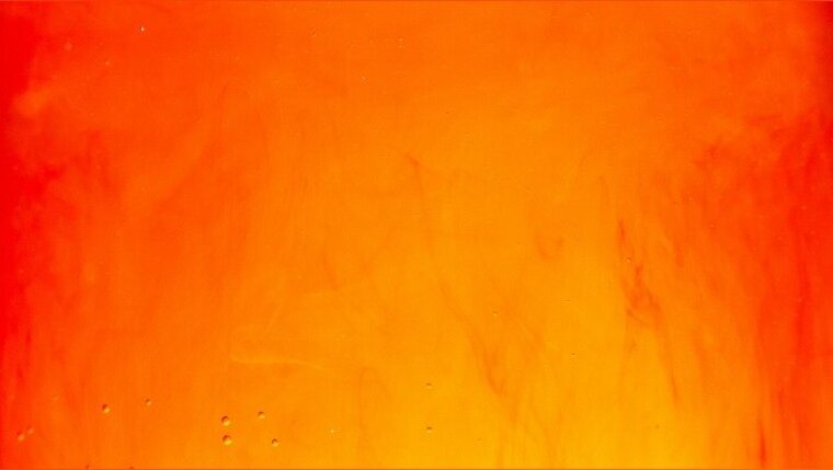 Dominic Kane cover image