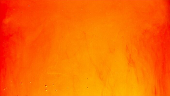 Dominic Kane banner image