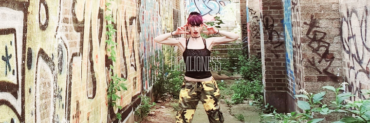 DomLioness cover image