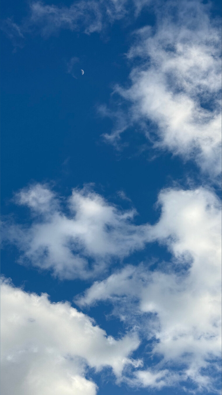 Don Rondon cover image