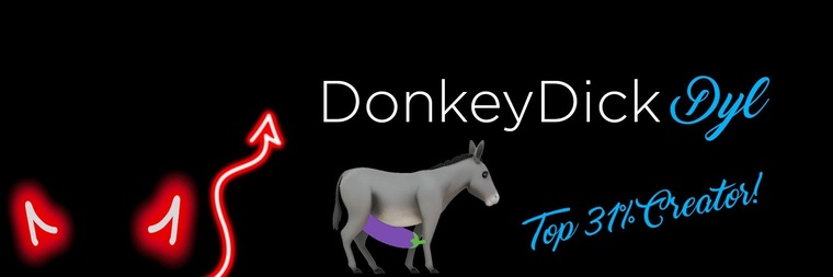 dyl π banner image