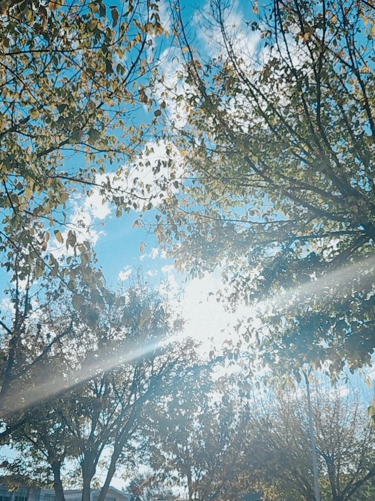 Val Steff banner image