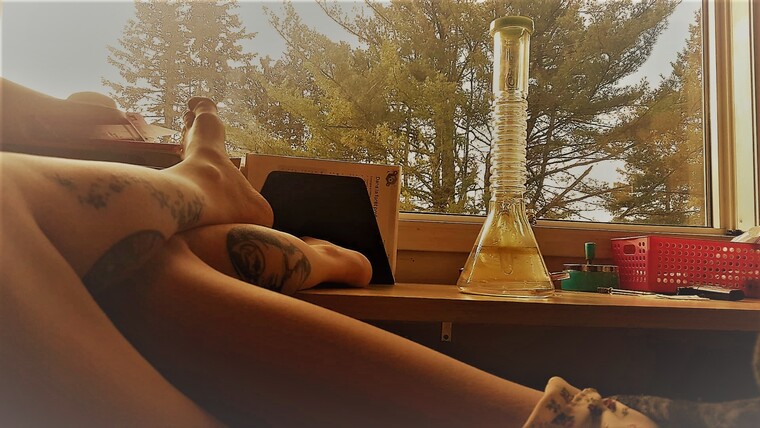 DonnaLanePremiumXXX banner image