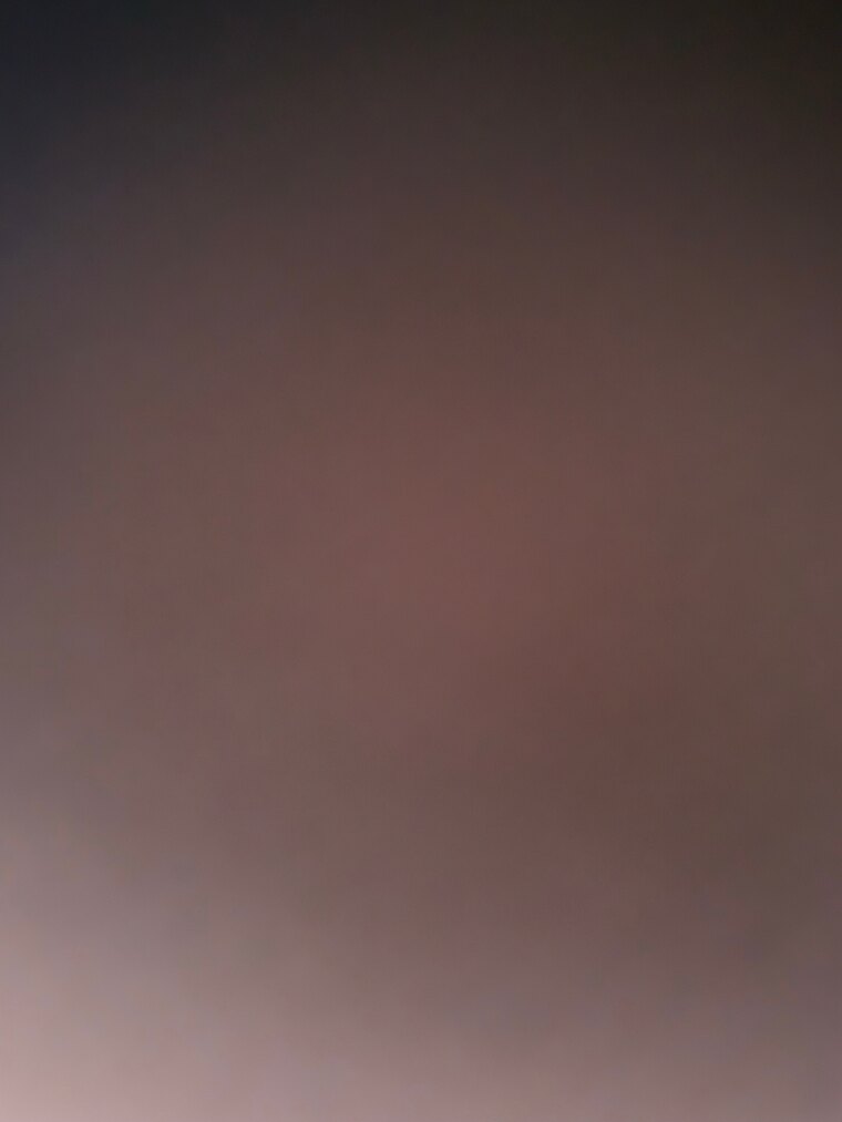El Donny banner image
