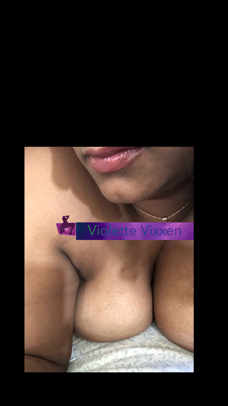 Violete Vixxen banner image