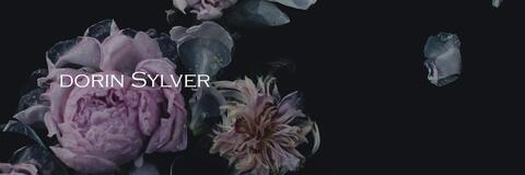 Dorin Sylver cover image