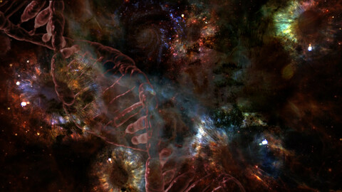 Dove Magnetar cover image