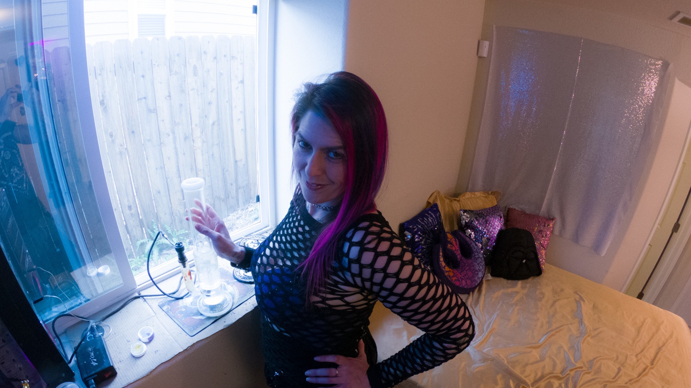 DP Domina Ivy banner image