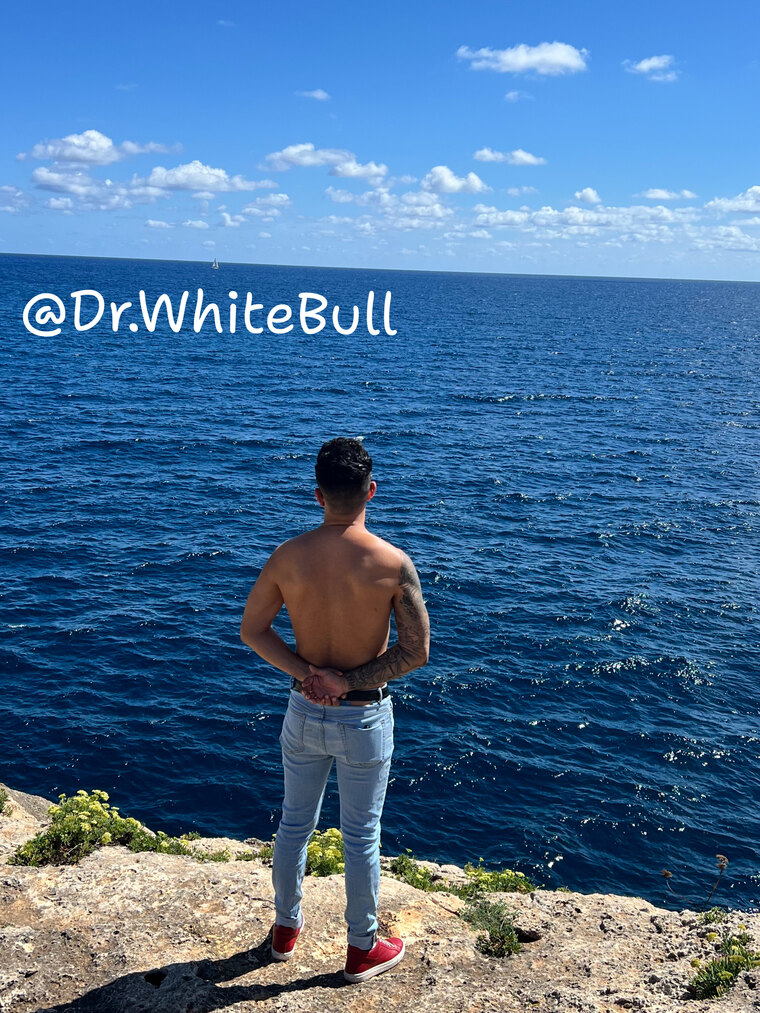Dr. WhiteBull π banner image