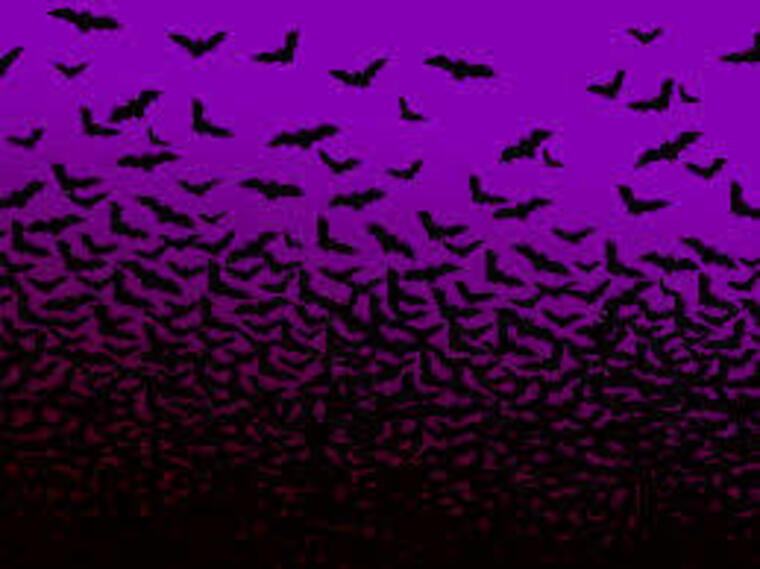 Gothicone1 cover image