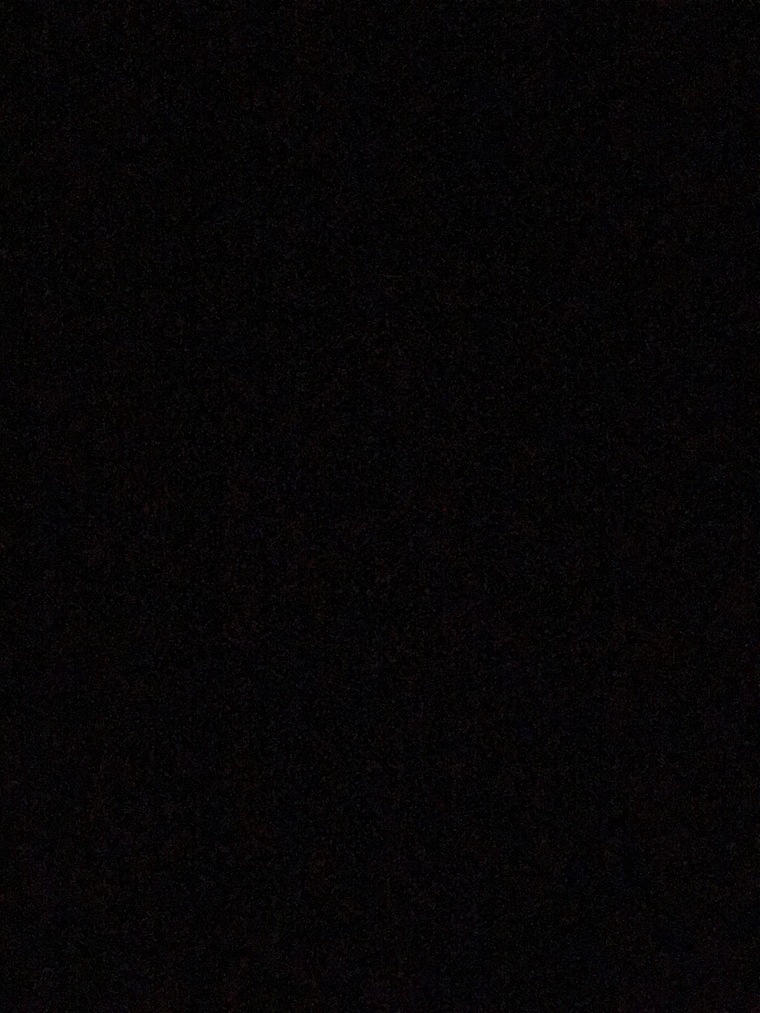 Sandra banner image
