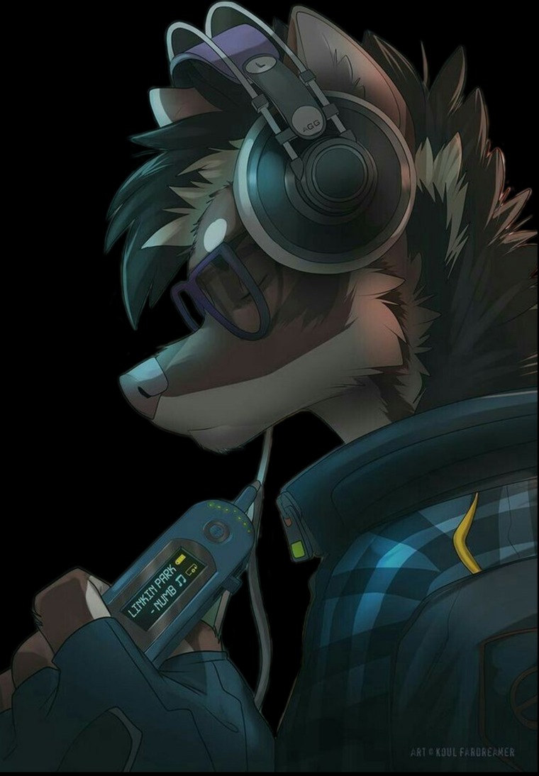 Dr@gonFoxy43767 cover image